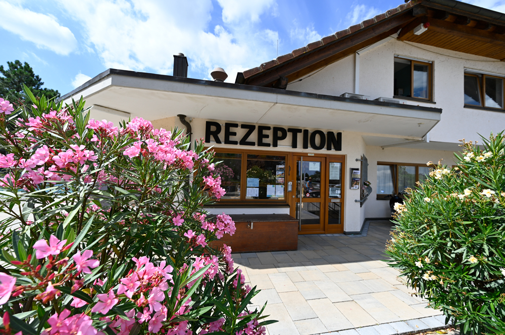 Rezeption