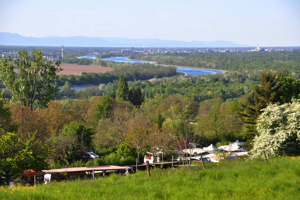 DSC_7964_AB