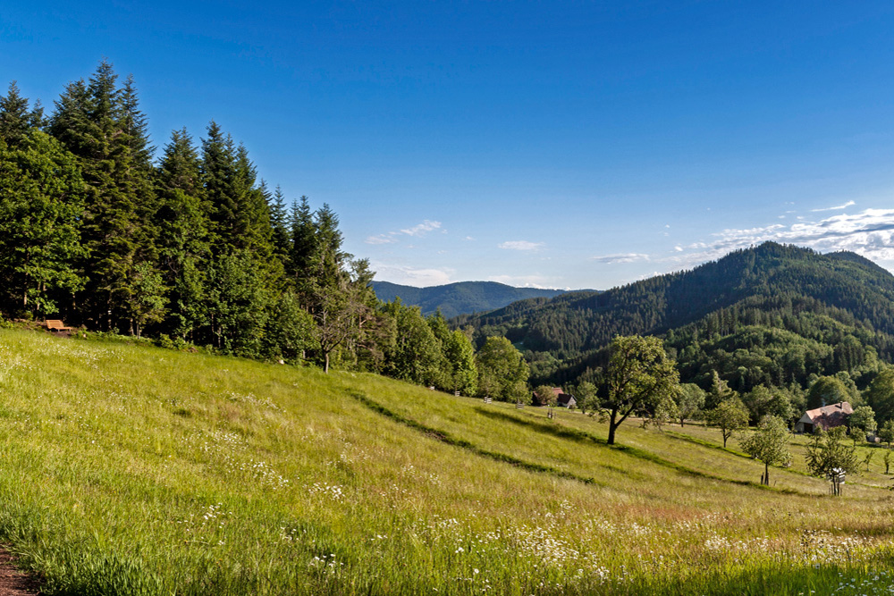 mila-del-monte-breitenberg-4657728_pixa