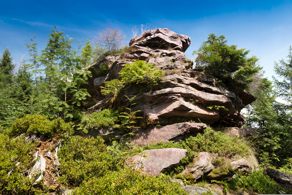 mila-del-monte-klagstein-4660959_pixa