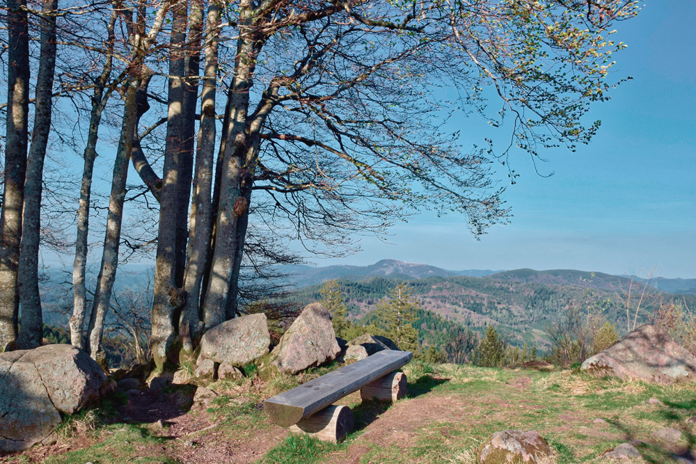 paul_henri-wooden-bench-3341764_pixa