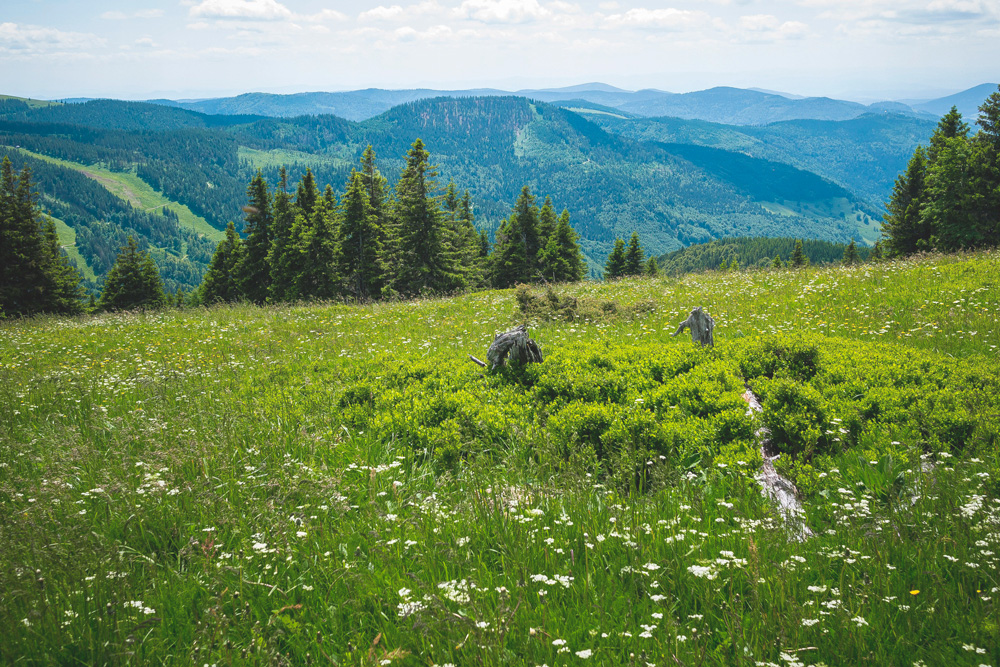sternenvogelreisen-mountain-5002337_pixa